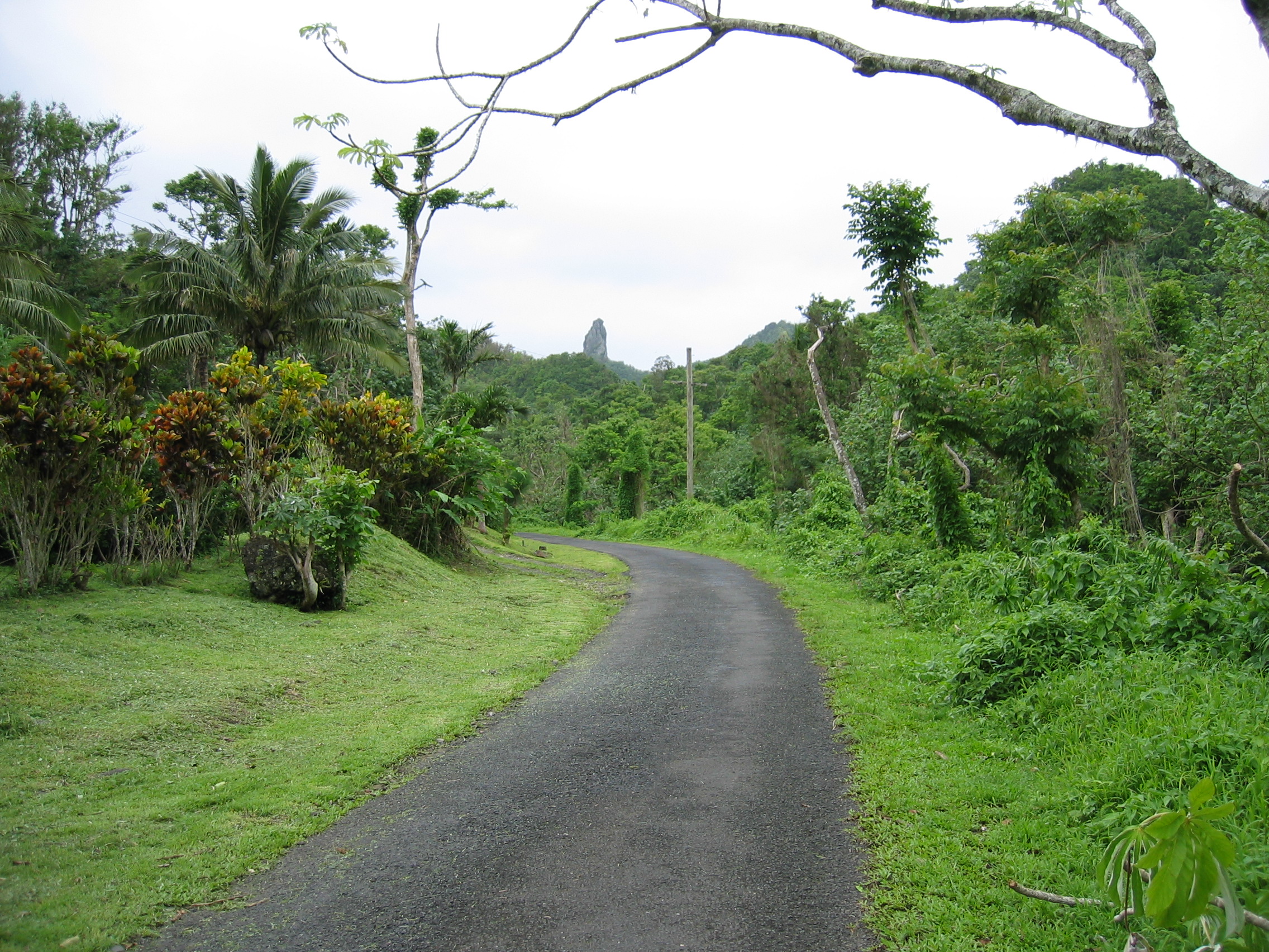 A road in Rarotonga, the Cook Islands.