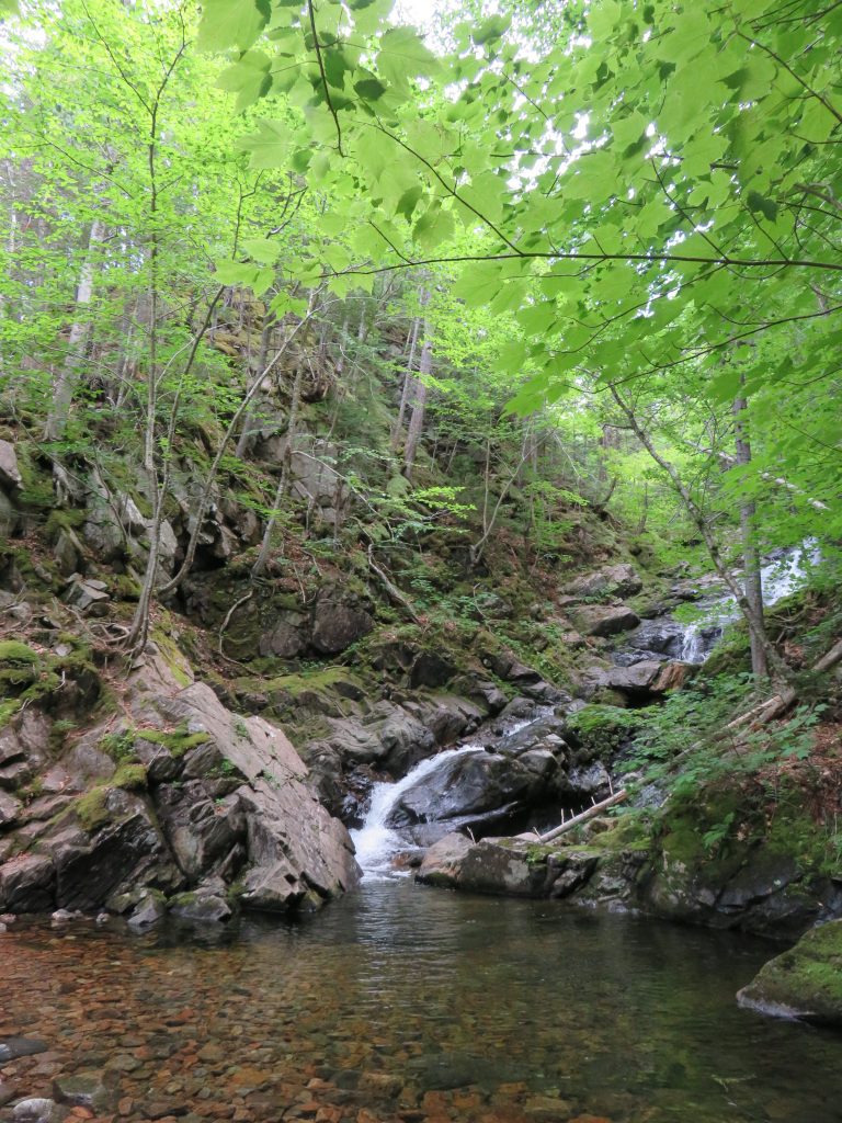 A small waterfall surrounded by rocks and trees.